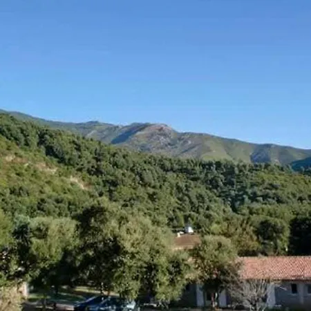 1 Bedroom Amazing In *